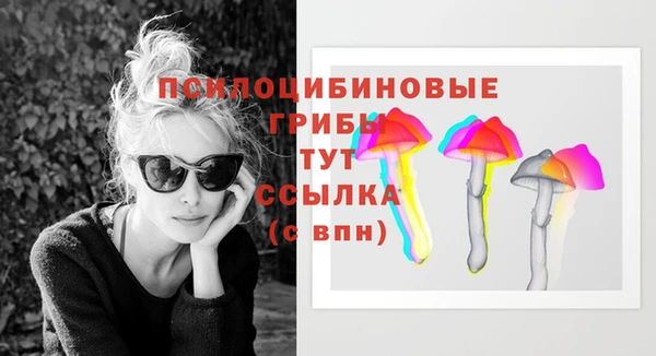 эйфоретик Балахна
