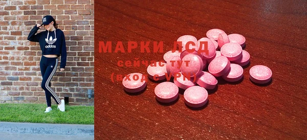 прущие грибы Баксан
