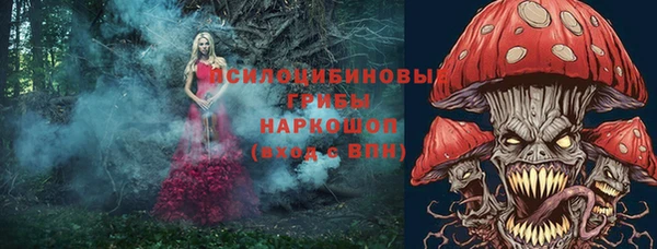 эйфоретик Балахна
