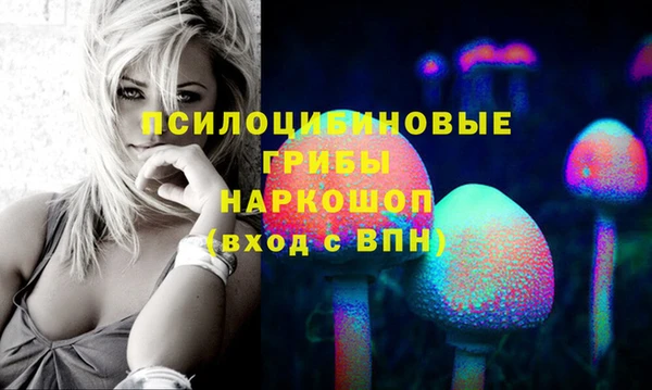 эйфоретик Балахна