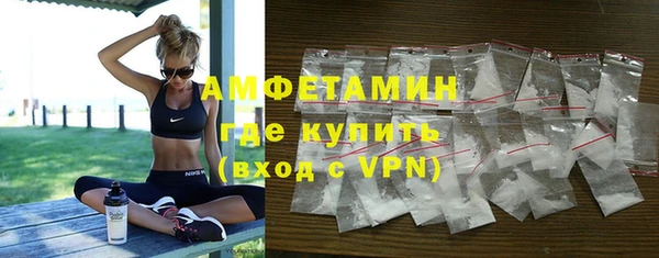 прущие грибы Баксан