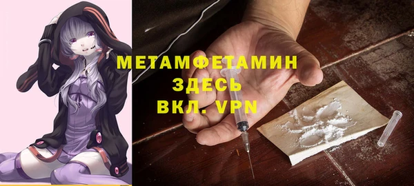 прущие грибы Баксан