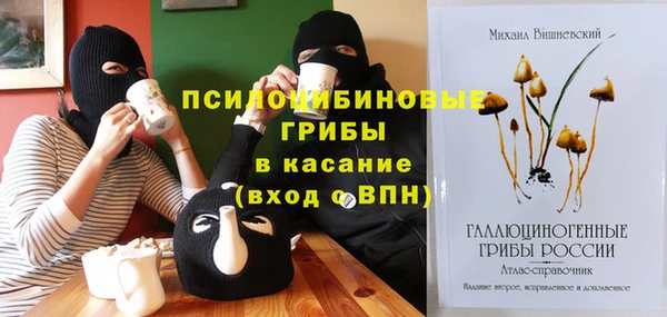 эйфоретик Балахна