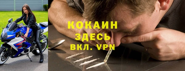 прущие грибы Баксан