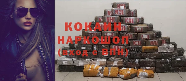 прущие грибы Баксан