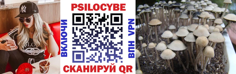 Галлюциногенные грибы мухоморы  shop как зайти  Бежецк 
